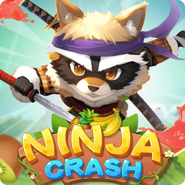 Ninja Crash on MAE44