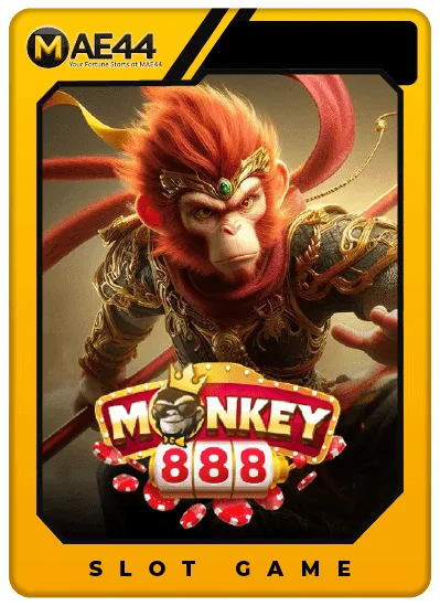 Monkey 888