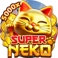 Super Neko on MAE44